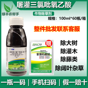 屠灌三氯吡氧乙酸杀大树除灌木灭藤蔓阔叶杂草烂根专用农药除草剂