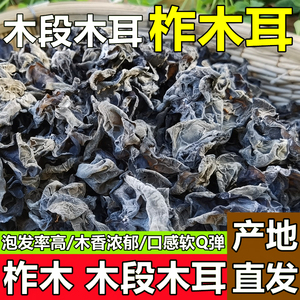 黑木耳干货黑龙江特产特级半野生柞木段木耳秋耳散装无根大朵500g