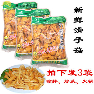 800克×3包食用菌野山菌 滑子菇 腌渍蘑菇清水蘑菇新鲜滑子菇包邮