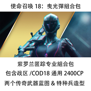 PC战网暴雪使命召唤战区cod18曳光弹紫罗兰匿踪专业组合包代充值