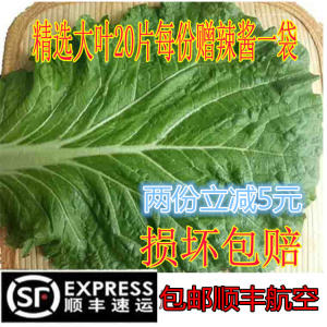 东北新鲜大白菜叶白菜叶东北白菜叶打饭包菜叶打菜包饭包白菜叶子