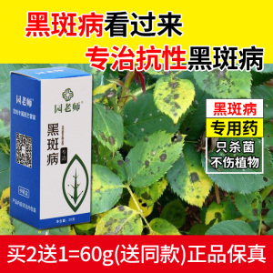 园老师黑斑病专用药月季花病虫害常用药多肉蔷薇兰多茵菌灵杀菌剂