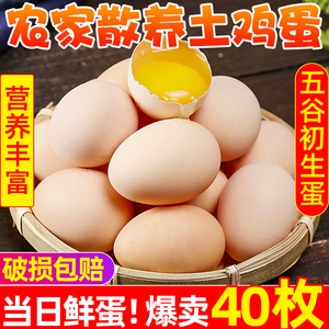 农家散养土鸡蛋40枚装农村自养新鲜草鸡蛋柴鸡蛋本笨鸡蛋整箱包邮