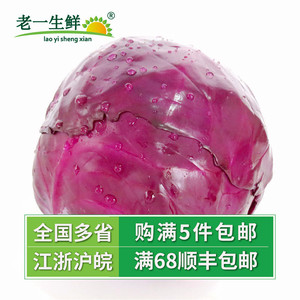 【老一生鲜】 新鲜蔬菜 沙拉菜 紫甘蓝 紫包 球生菜 约1000g左右