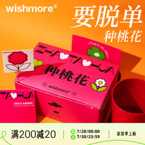 wishmore种桃花创意生日礼物送闺蜜小众仪式感异地恋diy毕业七夕