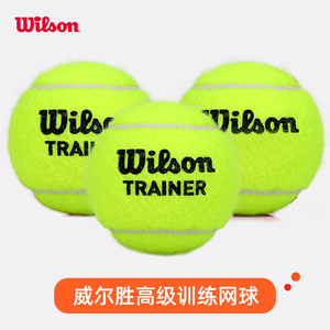 Wilson威尔胜训练网球练习球耐磨耐打威尔逊无压比赛网球 T1312