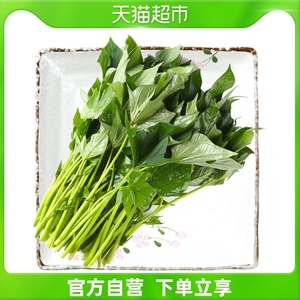 精选地瓜叶400克  （番薯叶红薯叶/绿茸菜）