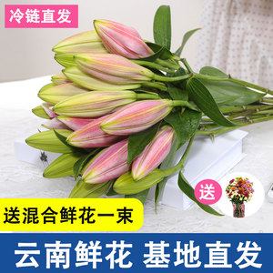 云南鲜花大叔基地直发直批香水百合粉色多头混合花束插花同城速递