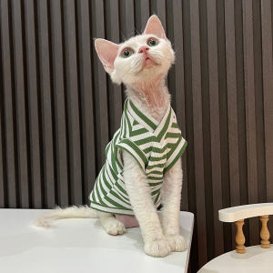 V领空调服弹力纯棉背心背心好穿任发财无毛猫衣服斯芬克斯猫德文