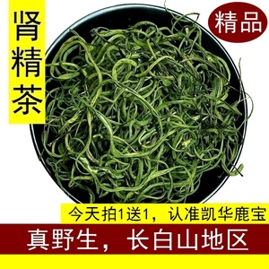 100g东北肾精茶养生茶长白山野生肾精茶化石草肾经草茶石韦茶男用