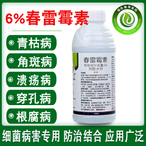 6%春雷霉素 叶斑病角斑稻瘟病流胶病柑橘蔬菜软腐细菌病害杀菌剂