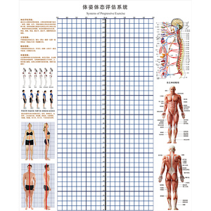 体态评估表墙贴健身房体测网格纸瑜伽馆私教姿势体位背景墙体姿图