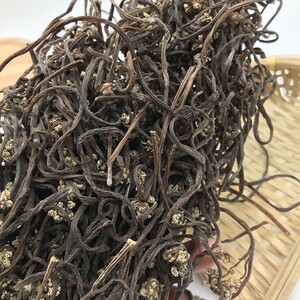 东北特产 野生干蕨菜 无污染纯天然山野菜 新货龙爪菜 200g