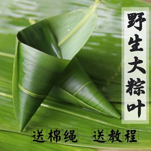 粽叶粽子叶免邮新鲜干粽叶大号包粽子叶子粽粑叶棕叶非芦苇叶野生