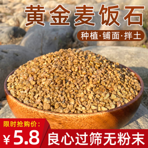 黄金软麦饭石颗粒大包包邮多肉铺面石种植拌土装饰营养土韩国同款