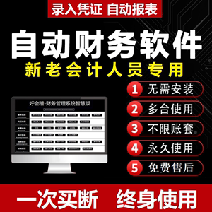 小企业会计excel单机财务软件自动网络版系统公司做账记账代理账