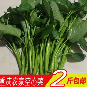 空心菜新鲜2斤3斤包邮重庆农家藤藤菜蕹菜蓊菜通心菜无心菜空筒菜