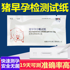 母猪怀孕试纸猪用试纸母猪测孕纸早孕验孕纸测试纸猪用检测试剂盒