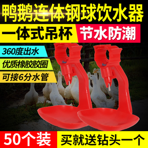 雞鴨鵝用飲水器 鋼球連體吊杯自動乳頭飲水器 接水杯鴨鵝水線設備