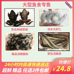 新鲜冷冻小河虾冻虾喂鱼虾仁小泥鳅段林蛙鱼食龙鱼饲料鱼龙鱼增色