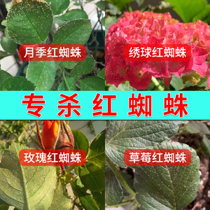 杀红蜘蛛常专用药玫瑰月季草莓绣球花卉植物联肼乙唑螨除虫剂通用