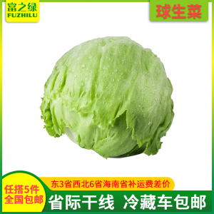 新鲜球生菜500g【任搭5份包邮】  结球生菜 球形圆生菜 沙拉菜