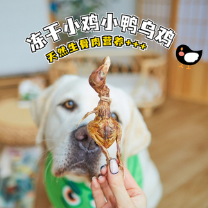 狗狗零食冻干整只小鸡崽鸭仔乌鸡生骨肉猫咪发腮磨牙小中大型幼犬