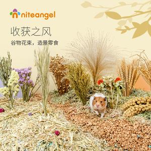 Niteangel艾特 仓鼠造景用品谷物花草垫料收获之风谷穗零食磨牙