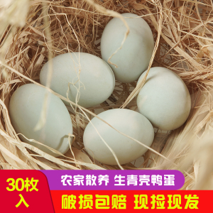 新鲜土鸭蛋生农村家散放养青壳草麻绿皮笨非双黄水野30枚大个正宗