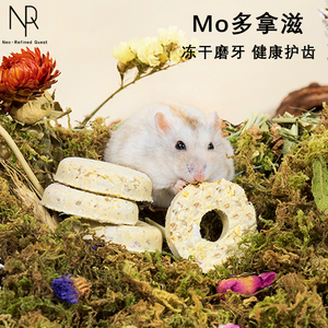 NRQ-Mo多拿滋冻干仓鼠磨牙零食金丝熊造景用品甜甜圈果蔬饼花枝鼠