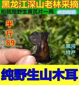 东北特产野生黑木耳特级天然山秋木耳黑龙江干货无根250g包邮软糯