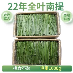 2022新烘干全叶南提提摩西干草包邮兔子龙猫荷兰猪饲料净重500g