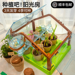 儿童种植吧阳光房创意植物手工diy材料包科学小实验学生种菜玩具