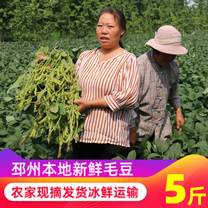 【5斤装】现摘新鲜毛豆农家自种嫩毛豆带壳青豆当季蔬菜邳州特产