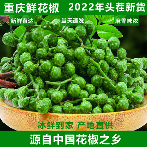 重庆江津九叶青保鲜花椒藤椒1050g散装麻椒特香特麻花椒香调味料