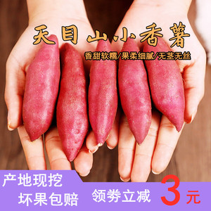 新鲜小番薯临安天目山小香薯黄心地瓜板栗红薯农家自种山芋5斤10