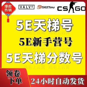 csgo出分小号账号5E炸鱼号认证号带分号5E低分号账户5ecsgo号白号