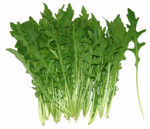 新鲜芝麻菜 火箭菜 沙拉西餐 rocket、arugula 100g/8元