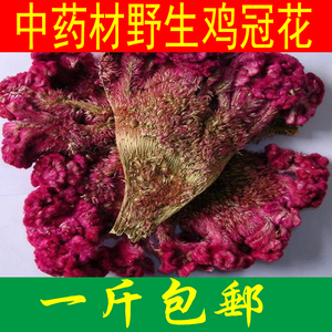 中药材野生鸡冠花 红鸡冠花 无硫鸡冠花 500克包邮