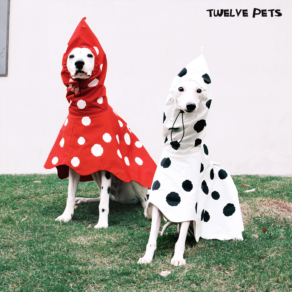 Двухцветный плащ в горошек TwelvePets, непромокаемый, ветрозащитный и противообрастающий плащ-накидка с остроконечной головкой, пончо Lingti для средних и крупных собак
