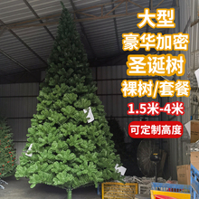 Экспорт шифрования Рождественская елка большой 3m дерево огнестойкое шифрование