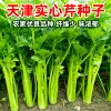 Товары от 禾之元种业