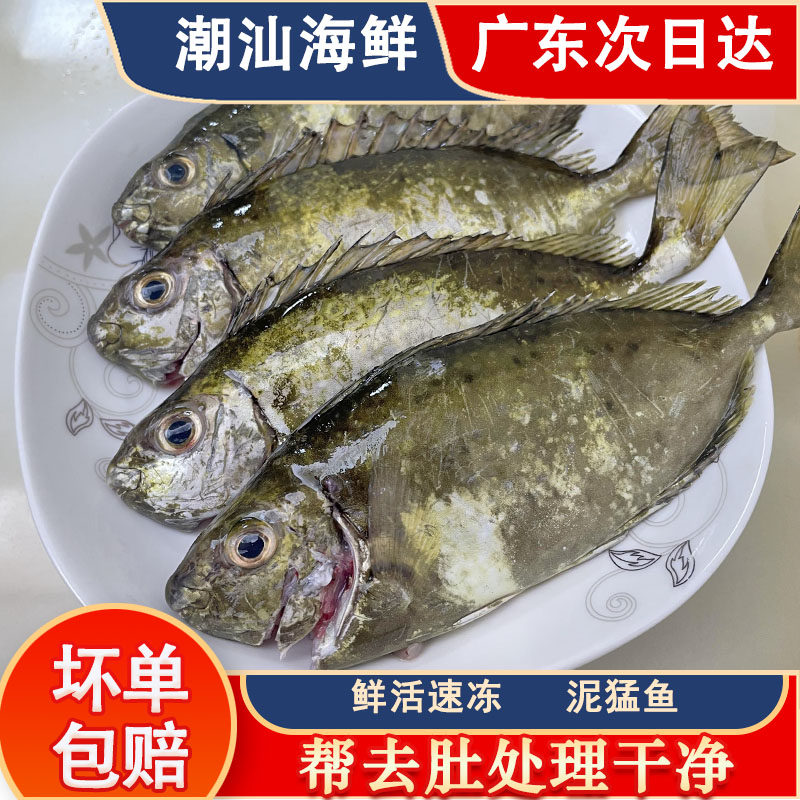 Культивированная грязь Менгю Чаошань, фирменное блюдо из морепродуктов, замороженная рыба из осенних листьев Ньянг Айю, горькая...