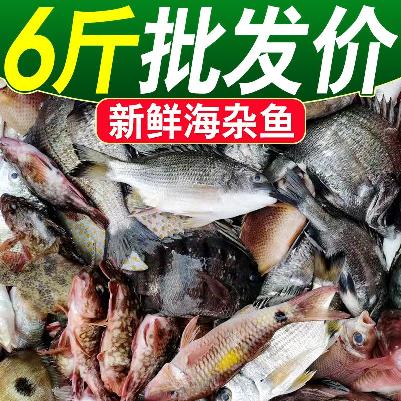 【Бесплатная доставка по холодильной цепочке】 Морская рыба, свежемороженая пресноводная рыба, желтая рыба, морской окунь, лосось, помфрет
