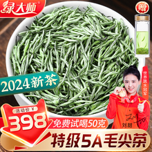 Green Master -2024 New Tea- Special 5A Mingqian Maojian Tea 500g High Mountain Green Tea Spring Tea Tea