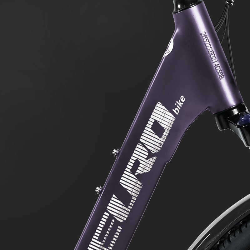 Eurobike пригородный электрический велосипед из алюминиевого сплава, дорожный электрический ускоритель, велосипед с переменным крутящим моментом, электрический самоходный велосипед