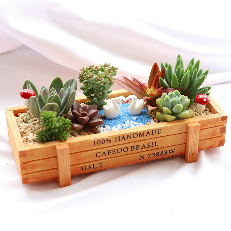 Суккулентное сообщество DIY micro-landscape с суккулентами в сочетании с горшечными упаковочными материалами включает в себя горшечную почву, зеленые растительные украшения