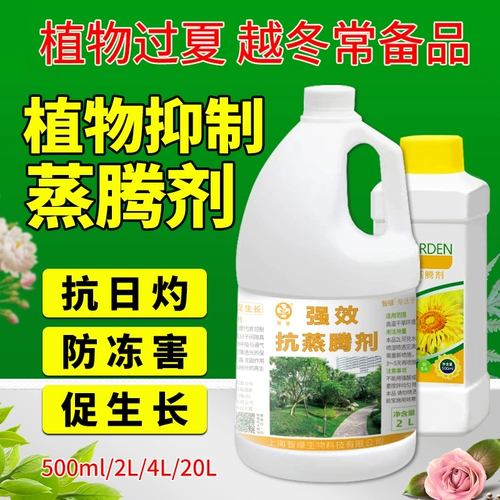 Растите против развития агента, устойчивости к засухе, потери воды, сжигания против санарцев, саженцев, саженцев в живые цветы, сохраняющие свежий ингибирующий испарительный агент
