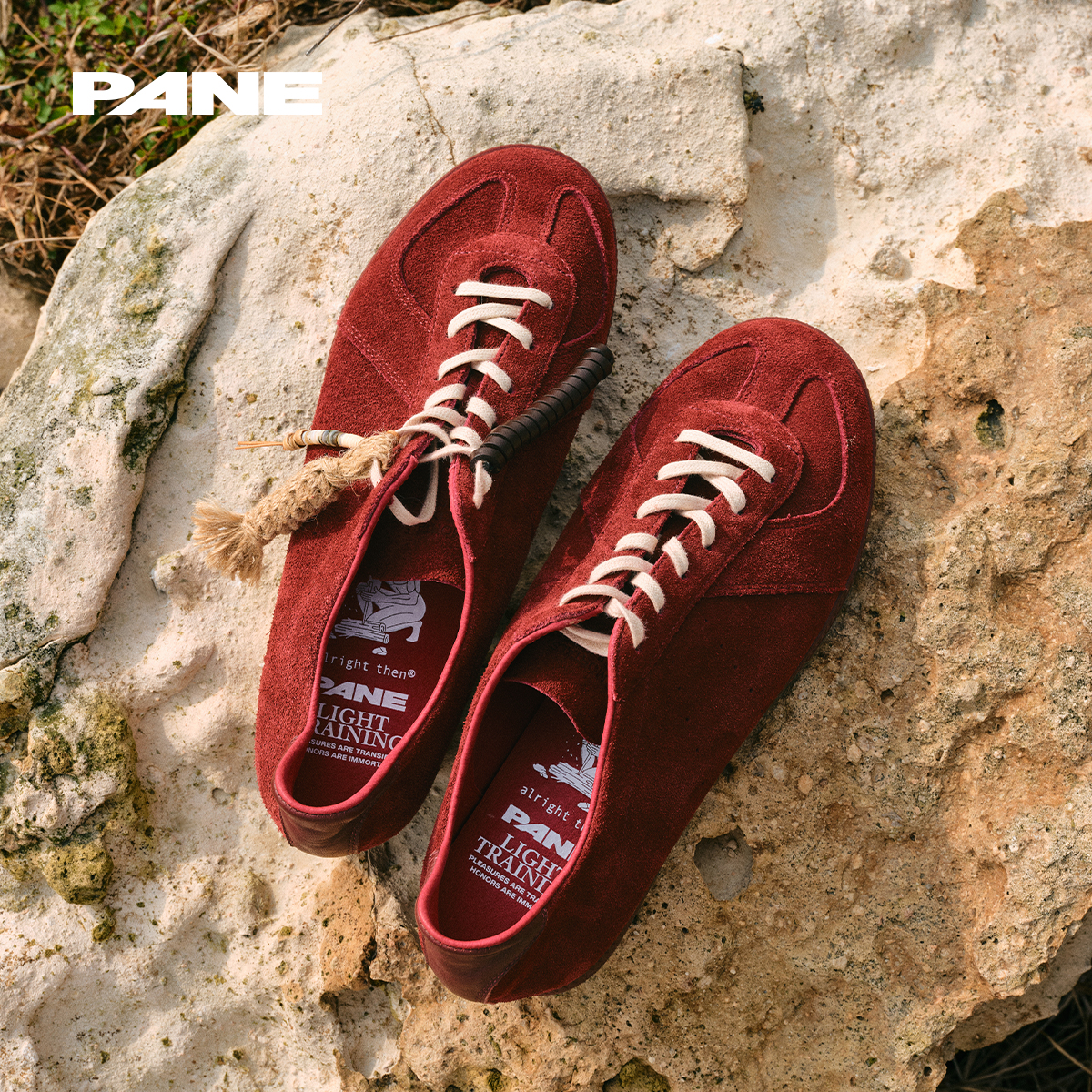 PANE&alright - лимитированная кобрендовая серия легких тренировочных ботинок No-Gi-немецкая обувь для тренировок GAILY Scherzo