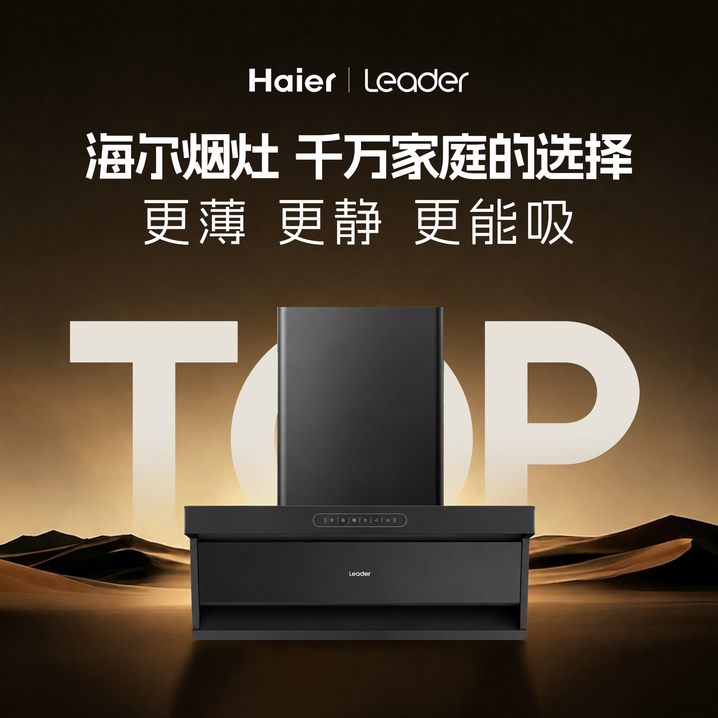 Коптильная машина Haier commander, вытяжка, газовая плита с интеллектуальным преобразованием частоты...